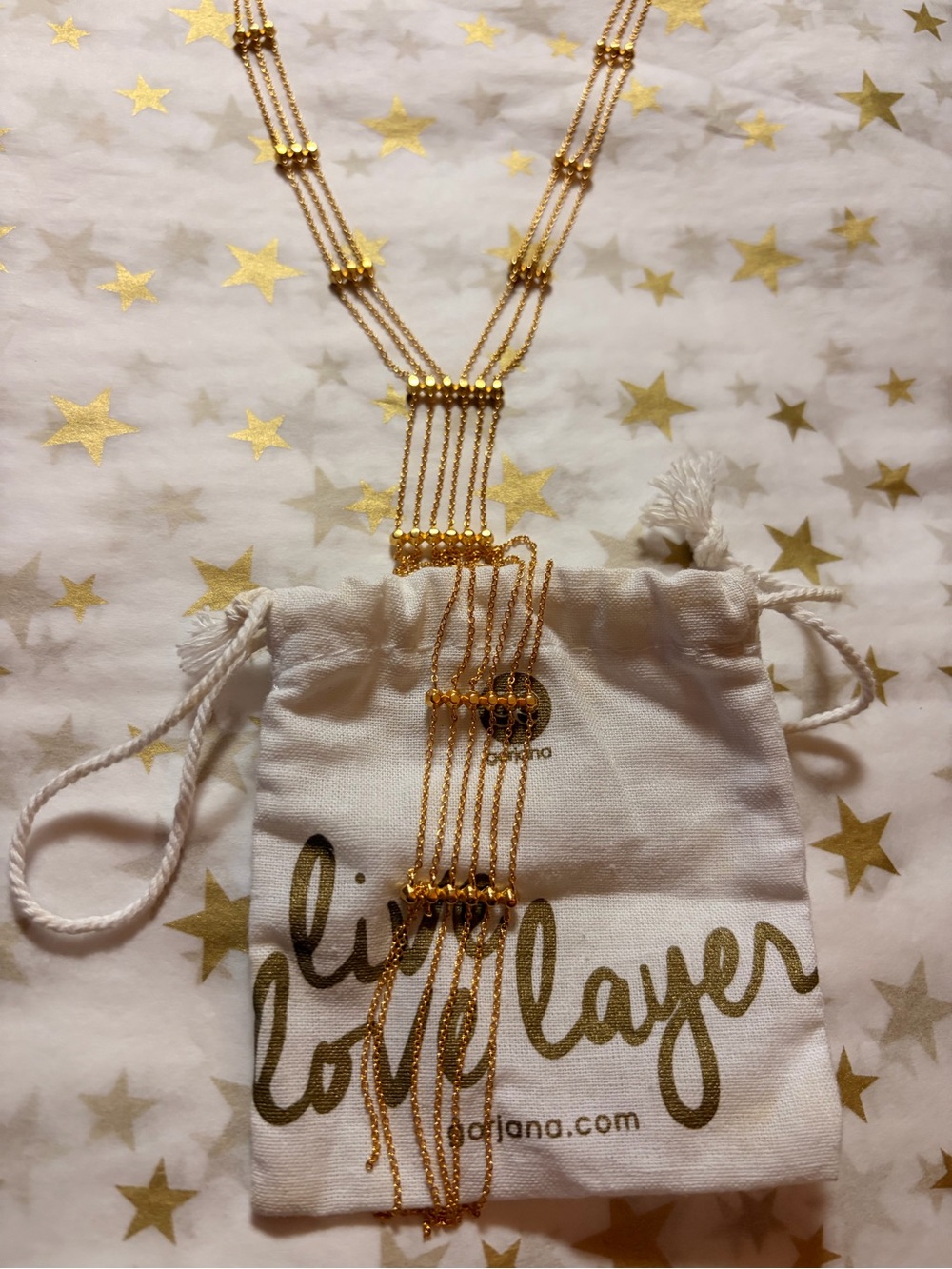 Gorjana Gold Multi-Strand Ladder Y Necklace - Picture 4 of 4